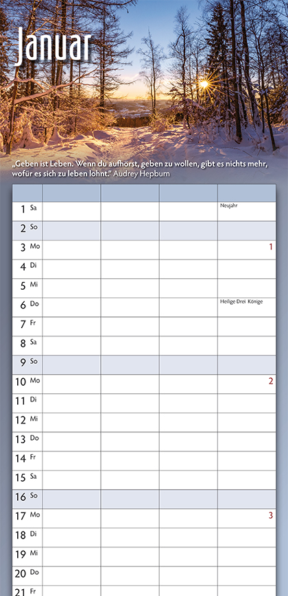 Ausschnitt Kalenderblatt Januar mit sonnenbeschienenem Schneemotiv, Zitat von Audrey Hepburn und Kalendarium aus dem Zonta-Familienkalender